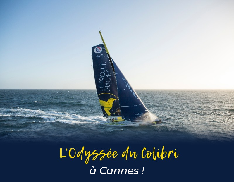 You are currently viewing L’Odyssée du Colibri à Cannes !