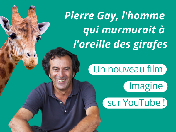 Lire la suite à propos de l’article Film inspirant – Dans les coulisses du Bioparc de Doué-la-Fontaine